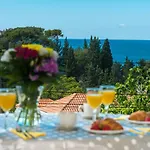 Apartment Jele